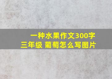 一种水果作文300字三年级 葡萄怎么写图片